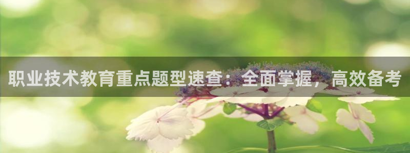 ְҵصٲ飺ȫЧ